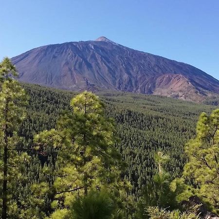 Apartament La Casita De La Pared Santa Cruz de Tenerife Zewnętrze zdjęcie
