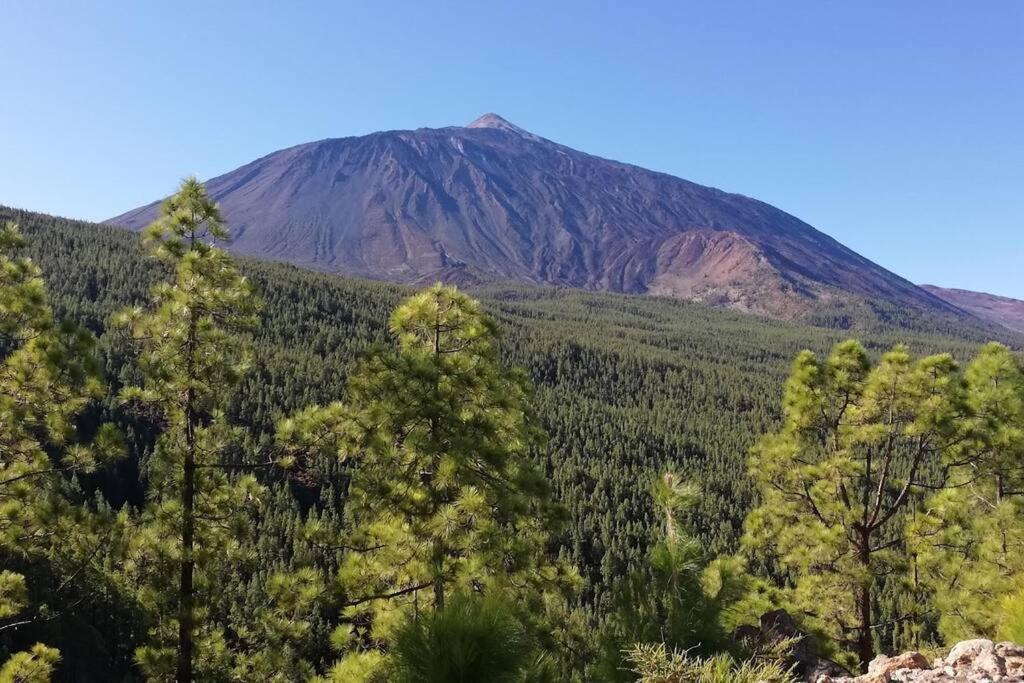 Apartament La Casita De La Pared Santa Cruz de Tenerife Zewnętrze zdjęcie