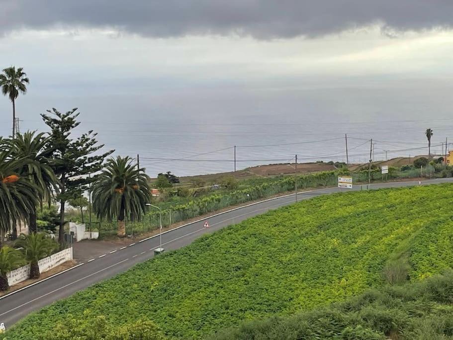 Apartament La Casita De La Pared Santa Cruz de Tenerife Zewnętrze zdjęcie
